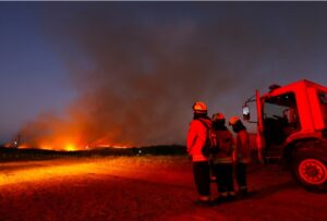 GDF sanciona lei que permite contratação direta de brigadas florestais