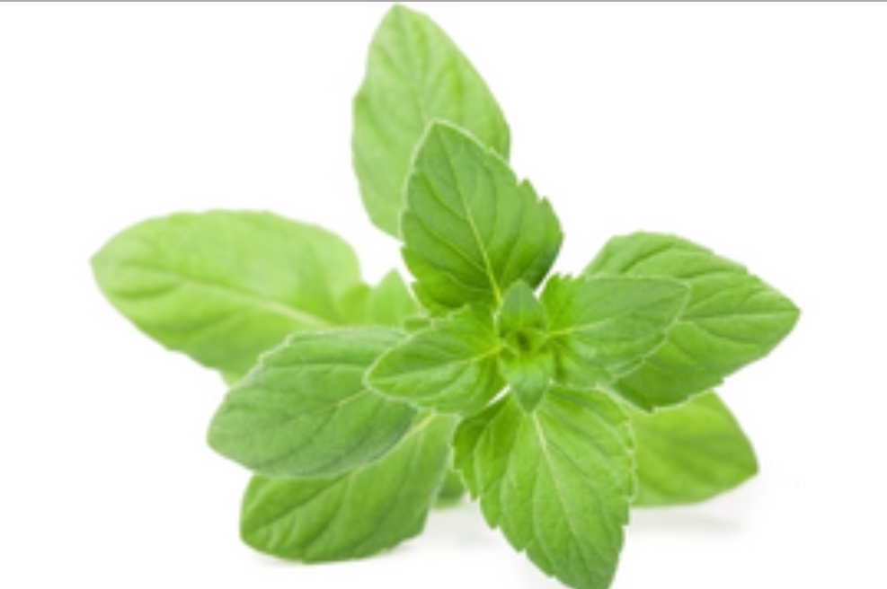 Chá anti-inflamatório reduz gases, melhora gripe e tem efeito calmante