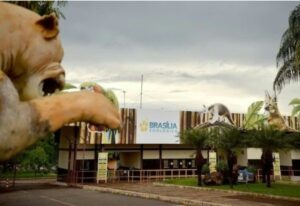 Zoológico de Brasília é fechado por suspeita de gripe aviária