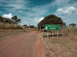 Brigadistas do Brasília Ambiental agem para evitar incêndio de grandes proporções no GamaCombatentes atuaram em Parque Distrital após prática de incêndio intencional